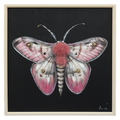Textured Moth Wall Art