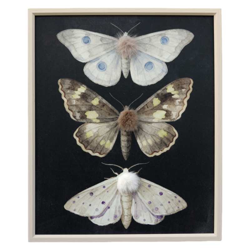 Textured Butterfly Specimen Wall Art (Vertical Set)